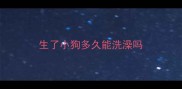 生了小狗多久能洗澡吗