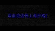 双血统边牧上海价格