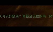 狗狗绝育后多久可以打疫苗最新全流程指南附疫苗时间表