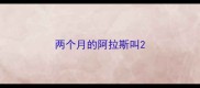 两个月的阿拉斯叫