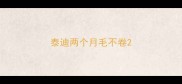 泰迪两个月毛不卷