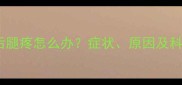 拉布拉多右后腿疼怎么办症状原因及科学护理指南