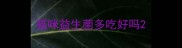 猫咪益生菌多吃好吗