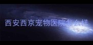 西安西京宠物医院怎么样