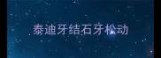 泰迪牙结石牙松动