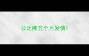 公比熊五个月发情