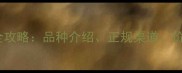 温州将军桥买边牧全攻略品种介绍正规渠道价格参考与养护指南
