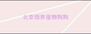 北京领养宠物狗狗