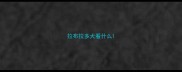 拉布拉多犬看什么