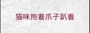 猫咪抱着爪子趴着