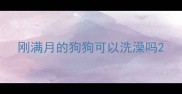 刚满月的狗狗可以洗澡吗