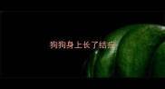 狗狗身上长了结痂
