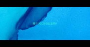 哪个可以托运宠物