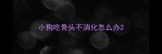 小狗吃骨头不消化怎么办