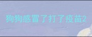 狗狗感冒了打了疫苗