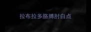 拉布拉多胳膊肘白点