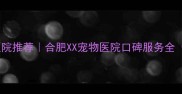 安徽正规宠物医院推荐合肥XX宠物医院口碑服务全附真实案例