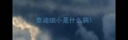 泰迪细小是什么病