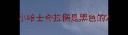 小哈士奇拉稀是黑色的