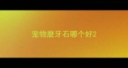 宠物磨牙石哪个好