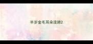 半岁金毛耳朵流脓