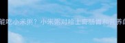 哈士奇能不能吃小米粥小米粥对哈士奇肠胃和营养的详细解答