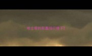 哈士奇的犯蠢排行榜下
