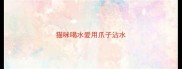 猫咪喝水爱用爪子沾水