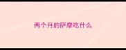 两个月的萨摩吃什么