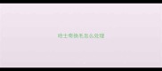 哈士奇换毛怎么处理