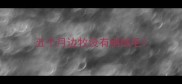五个月边牧没有褪绒毛