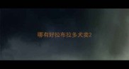哪有好拉布拉多犬卖