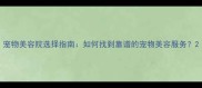 宠物美容院选择指南如何找到靠谱的宠物美容服务