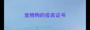 宠物狗的疫苗证书