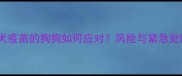 未接种狂犬疫苗的狗狗如何应对风险与紧急处理全指南