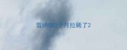 雪纳瑞3个月拉稀了