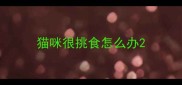 猫咪很挑食怎么办
