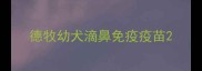 德牧幼犬滴鼻免疫疫苗