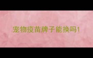 宠物疫苗牌子能换吗