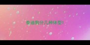 泰迪狗分几种体型
