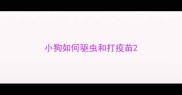 小狗如何驱虫和打疫苗