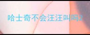 哈士奇不会汪汪叫吗