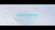 给狗狗吃的退烧药