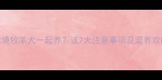 法国斗牛犬和边境牧羊犬一起养这7大注意事项及混养攻略新手必看