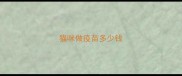 猫咪做疫苗多少钱