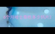 6个月哈士奇吃多少钙片