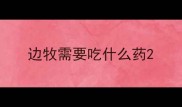 边牧需要吃什么药