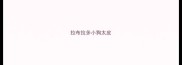 拉布拉多小狗太皮