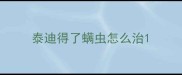 泰迪得了螨虫怎么治