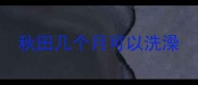 秋田几个月可以洗澡